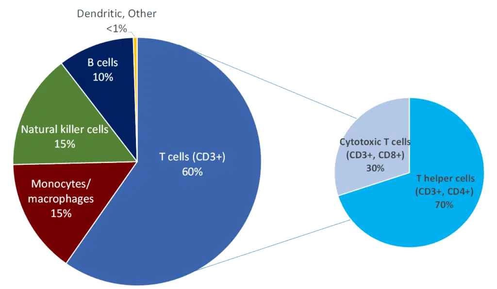 The Basics Of Peripheral Blood Mononuclear Cells (PBMCs)