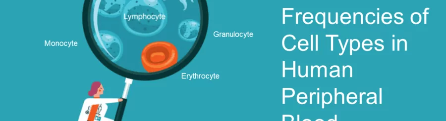 Cover photo for Infographic on Frequencies of Cell Types in Blood