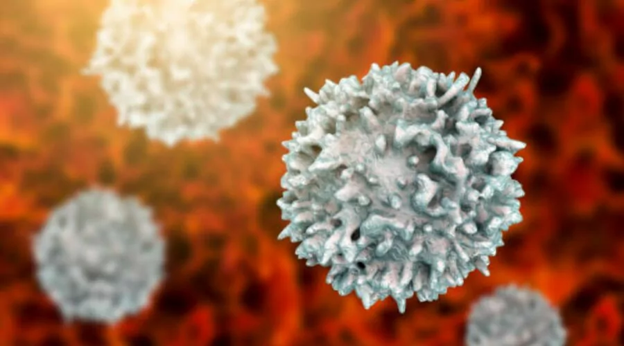 Image of four gamma delta T cells circulating in bloodstream