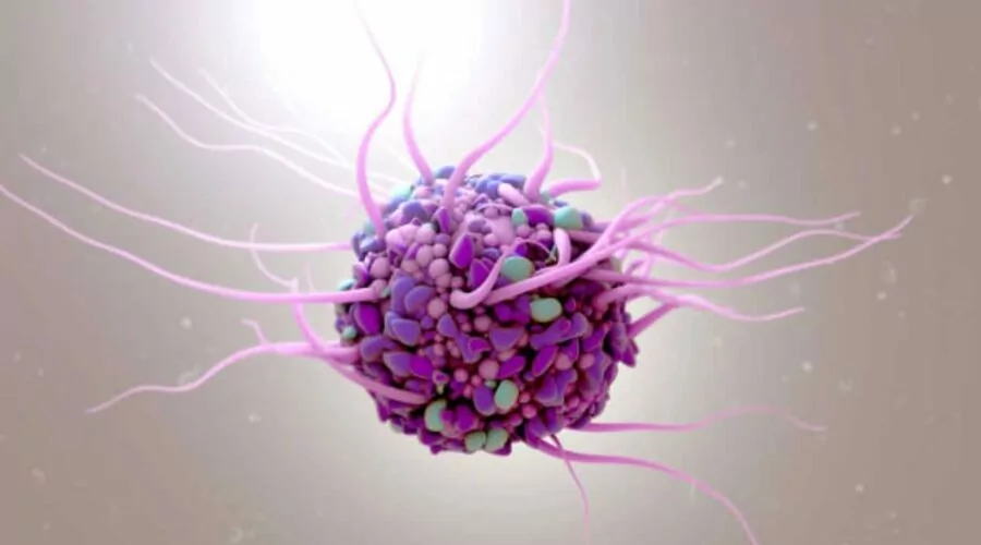 Close-up of Dendritic Cell