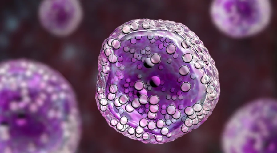 Are CD4 T Cells Helper or Cytotoxic